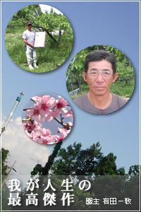 桃の農園/園主・有田一教